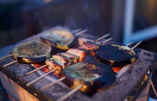 烧烤圈大比拼 电炉烤、气化炉烤、碳烤与焦炭烤，谁是你的菜？