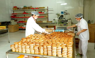 守护舌尖安全，共筑诚信防线——县工商联组织会员企业探访吕哥食品厂